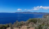 Excursión Senderismo La Croix-Valmer - TOULON / CAVALAIRE SUR MER: CIRCUIT DE GIGARO - Photo 6