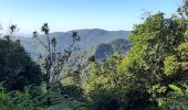 Tour Wandern Le Lorrain - Boucle Morne Jacob - Photo 16