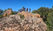 Trail Walking Le Muy - 2024-04-17_09h53m25_visorando-2024-04-19-les-roches-de-la-fille-isnard-gilles - Photo 1