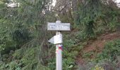 Percorso Marcia Le Thillot - Col des Croix - Vierge des Neiges - Hautes Mines - Tête des Noirs Étangs - Château Lambert - Photo 12