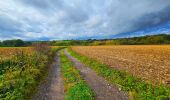 Tour Wandern Beaumont - Balade à Beaumont - Photo 17