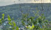 Tocht Mountainbike Esneux - 20210826 tour du Boubou  - Photo 5