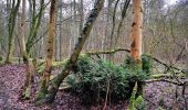 Tour Zu Fuß Niederanwen - Fleche Bleu Sandweiler - Photo 6