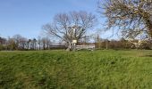 Tour Zu Fuß Bad Camberg - Rundwanderweg Schnepfe - Photo 5