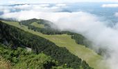 Tocht Stappen Autrans-Méaudre en Vercors - fessole et pas de la cle - Photo 1