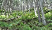 Tocht Te voet Malmedy - Chôdes : Boussire - Photo 6