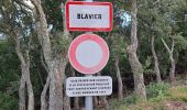 Trail Walking Pierrefeu-du-Var - N4 Portaniere fedon 1 - Photo 5