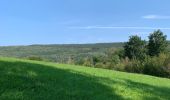 Excursión Senderismo Ferrières - Lorce boucle  - Photo 8