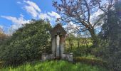 Trail Walking Rochefort - rando belvaux 28-04-2023 - Photo 18