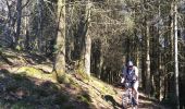 Excursión Bici de montaña Steinbach - Rocher Albert Waldkapel 2020 - Photo 3