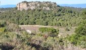 Tour Wandern Gruissan - Les Auzils Pêche Redon 01_2023 - Photo 5