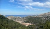 Tocht Stappen Marseille - Calanques de Marseille  - Photo 10