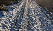 Excursión Senderismo Durbuy - Boucle autour de Borlon en hiver  - Photo 1