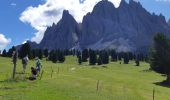 Trail Walking Villnöß - Funes - geisler - Photo 8