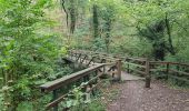 Tocht Stappen Eijsden-Margraten - Eckelrade - Sint Geertruid - Libeek - de Savelbos - Photo 2