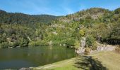 Trail Walking Saint-Maurice-sur-Moselle - Rouge Gazon - Lacs des Perches et du Neuweiher - Col des Charbonniers  - Photo 15