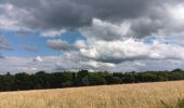 Trail Walking Herve - bolland . favechamps . la vaux . melen . bolland  - Photo 20
