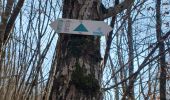 Tocht Stappen Pont-Saint-Vincent - Pont St Vincent - Chemin des mines - Photo 1