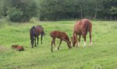 Percorso Marcia Aywaille - remouchamps grosse heid . haut marais . charmille . ninglinspo .vieux chera . grosse heid  - Photo 2