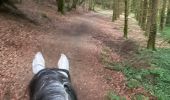 Tocht Paardrijden Neufchâteau - Bois d’Ospot depuis les pompiers - Photo 6