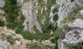 Randonnée Marche Marseille - Boucle - aiguille Guillemain - Mont Puget - col de la Candelle - Photo 2