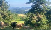 Excursión Ruta Laussonne - Plateau de Fraysse(17K 450D+) - Photo 13