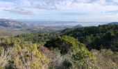 Tour Wandern Saint-Raphaël - Les Suvières et le Marsaou depuis Notre Dame - Photo 1