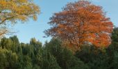 Tour Zu Fuß Hünxe - Drevenack Waldsportplatz Rundweg A2 - Photo 6