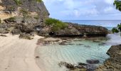 Tour Wandern Anse-Bertrand - Guadeloupe - Pointe de la Petite Vigie à Pointe de la Grande Vigie - Photo 2