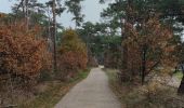 Trail Walking Lommel - A la découverte de Lommel  - Photo 15