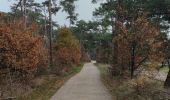 Trail Walking Lommel - A la découverte de Lommel  - Photo 15