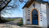 Tour Wandern Neufchâteau - Neufchateau 25 km - Photo 17