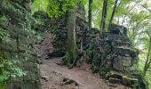 Percorso Marcia Echternach - mullerthal moitié E1 - Photo 10