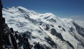 Tocht Stappen Chamonix-Mont-Blanc - Gare de Montenvers - Signal Forbes - Plan de l'Aiguille - Photo 16