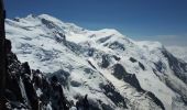 Randonnée Marche Chamonix-Mont-Blanc - Gare de Montenvers - Signal Forbes - Plan de l'Aiguille - Photo 16