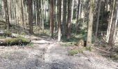 Trail Walking Sprimont - Banneux-Taçremont - Photo 7