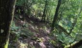 Randonnée Marche Rambrouch - au pays de l ardoise  - Photo 4
