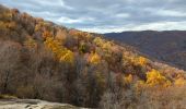 Tour Wandern Unknown - Crabtree falls Virginia - Photo 1
