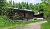 Tour Zu Fuß Oberaudorf - Wanderweg 8 - Oberaudorf - Photo 9