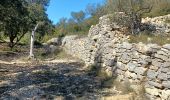 Tour Wandern Saze - 2024-03-13 les capitelles de Saze - Photo 8