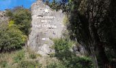 Randonnée Marche nordique Saint-Saturnin-de-Lucian - Rocher des Vierges de Saint Saturnin - Photo 14