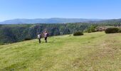 Trail Walking Prévenchères - Garde Guérin /Gorges du chassezac - Photo 6