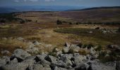 Excursión Senderismo Mont Lozère et Goulet - Les prairies du col de Finiels et des monts Lozere - Photo 1