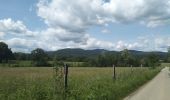 Excursión Senderismo Sentheim - Par la forêt et le fil de l'eau - Photo 16