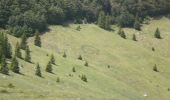 Excursión A pie Unknown - Nacionalni park Sjeverni Velebit II - Rožanski kukovi - Photo 5