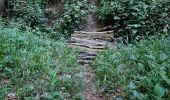 Trail Walking Vouthon-Bas - reco 3 - Photo 1