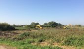 Trail On foot Kampen - WNW IJsseldelta - 's-Heerenbroek/Wilsum - gele route - Photo 10