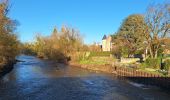 Trail Walking Candé-sur-Beuvron - cande sur beuvron - Photo 10
