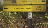Trail Nordic walking Sainte-Anne - Fond grand ma  modette le littoral  - Photo 15
