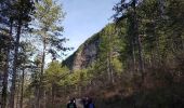 Tocht Stappen Saint-Étienne-de-Gourgas - Forêt de Parlatges - Roc de l'Eglise - Photo 18